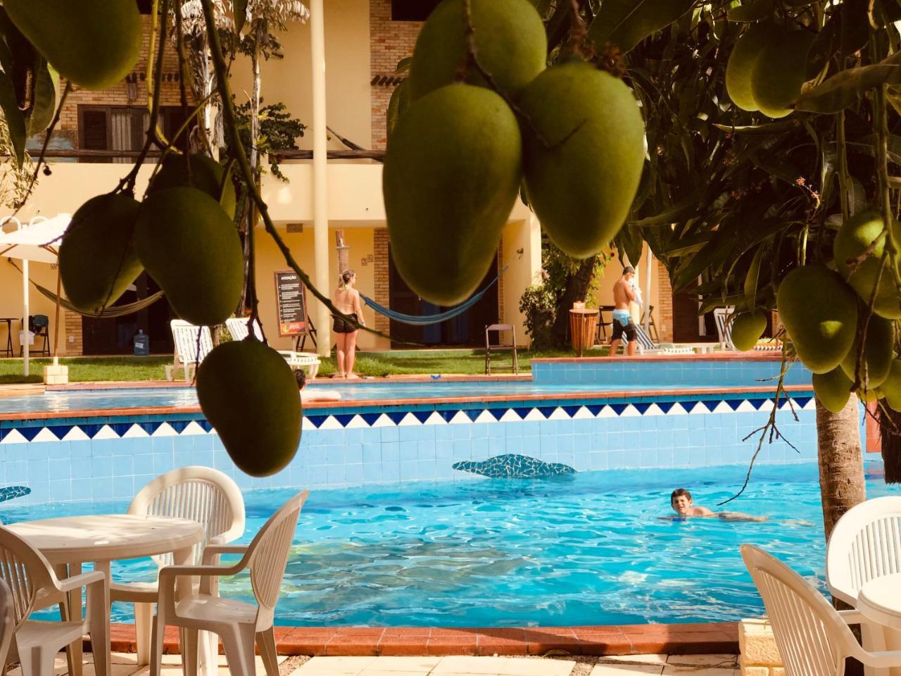 Pipa Flat Solar Apartment Praia de Pipa Ngoại thất bức ảnh